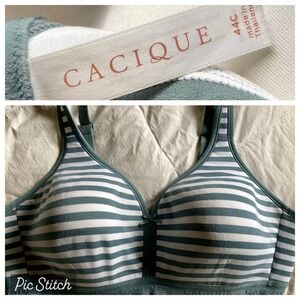 Cacique Lightly Lined No Wire Bra 44C Stripe Sage Green White EUC Curvy Playful
